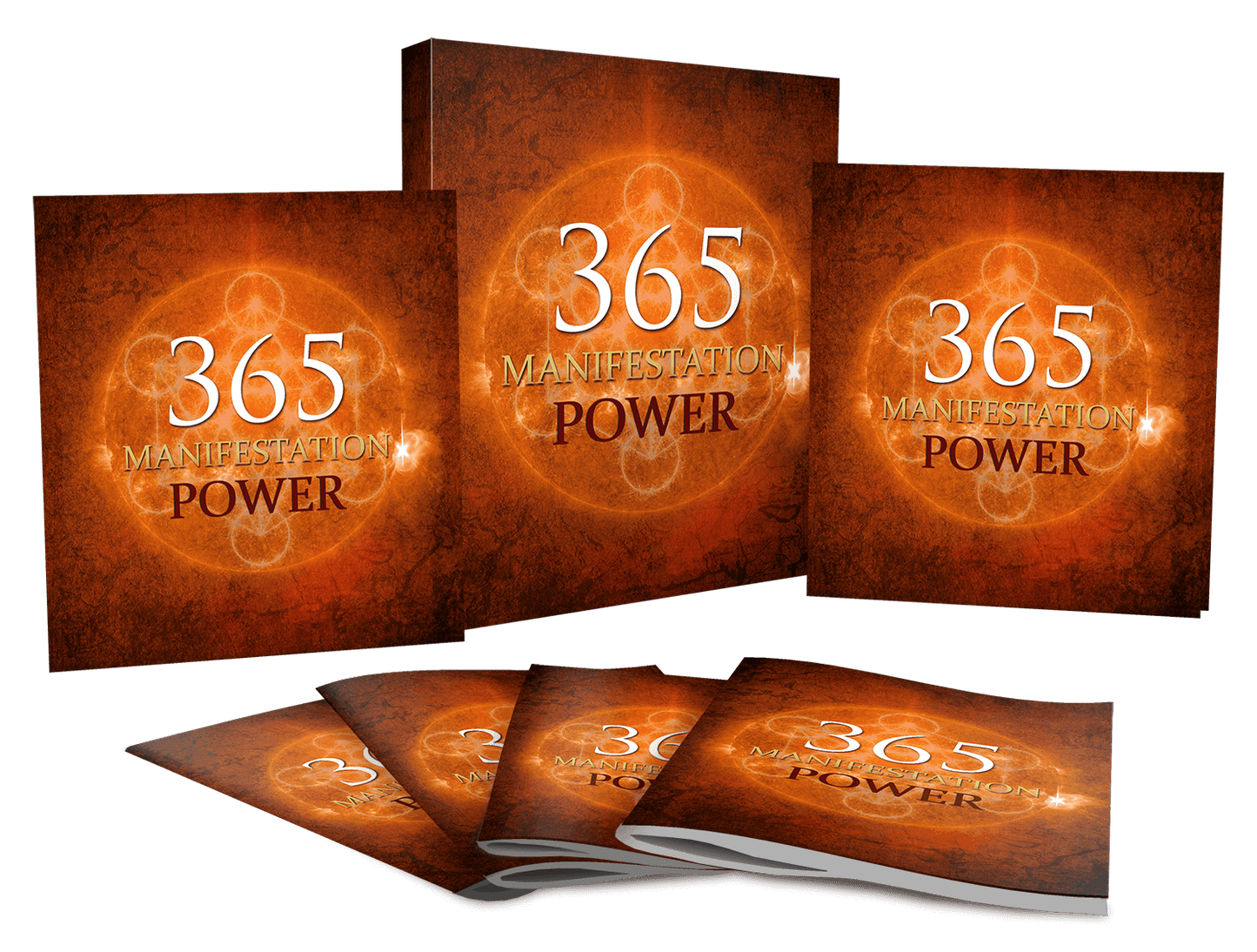 365 Manifestation Power and 365 Manifestation Power Workbook