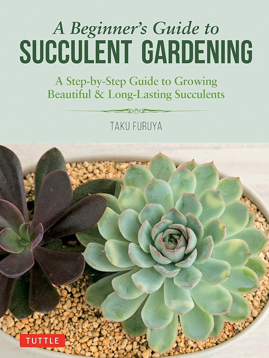 Beginner's Guide To Succulent Gardening