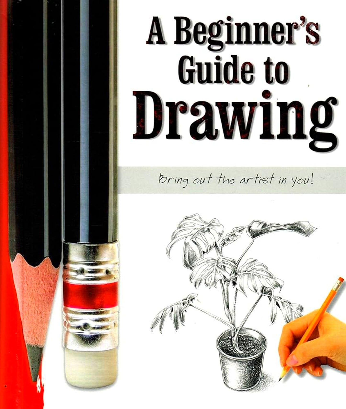 How to Learn Drawing Like pro